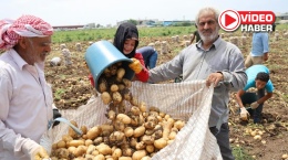 Niğde’de tarım işçisinin yevmiyesi belli oldu