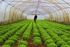 Niğde’de Tarımda Yeni Dönem: B-REÇETE Anlatılacak