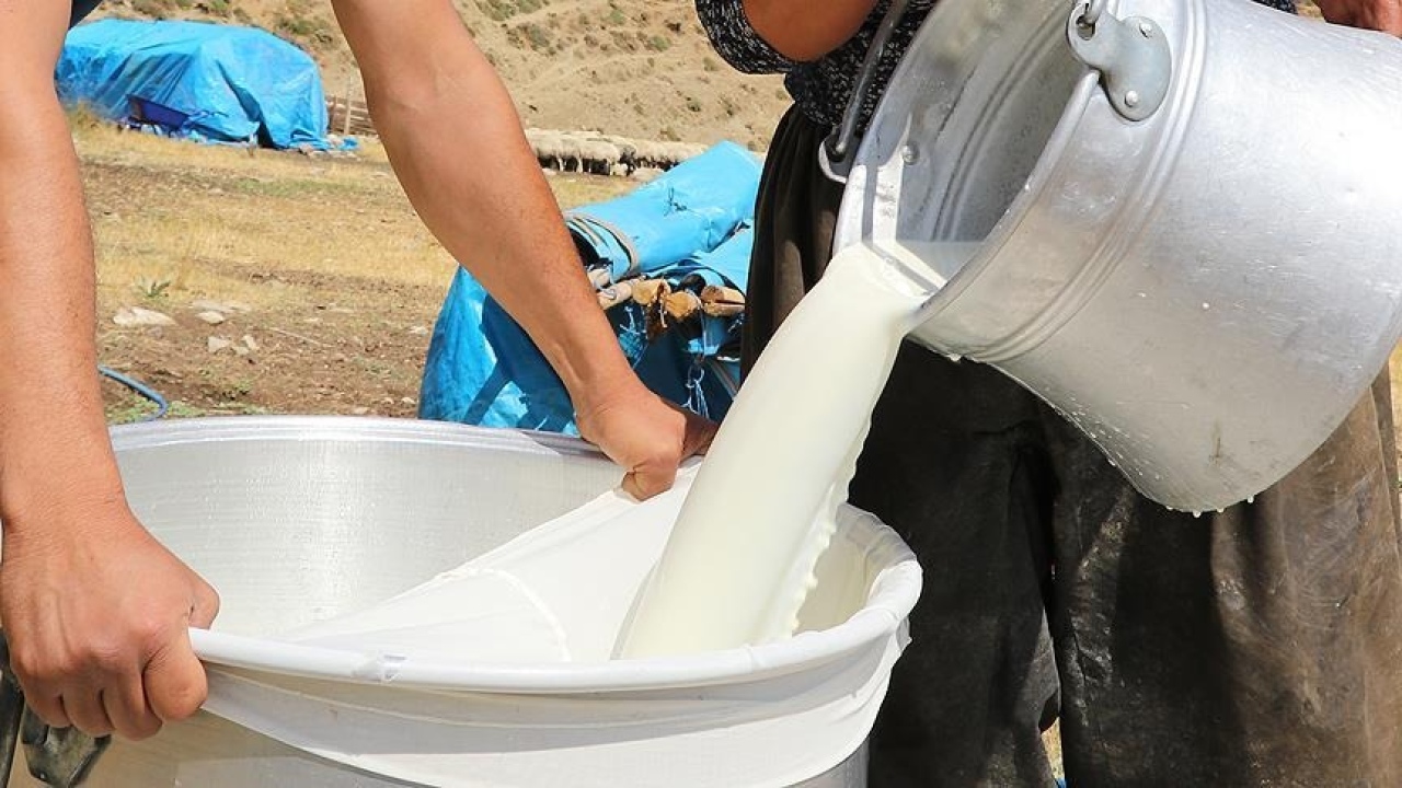 Niğde’de üreticilere destek ödemeleri başlıyor