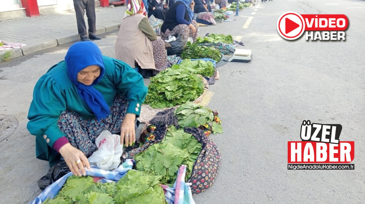 Niğde'de Yaprak Pazarı Sezonu Açıldı
