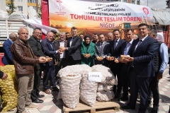 NİĞDE’DE YERLİ PATATES HAMLESİ: 60 TON TOHUMLUK ÜRETİCİYE DAĞITILDI