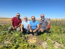 Niğde’den Türkiye’ye İlk Yerli ve Milli Cipslik Patates: “Uğur” Sahada Başarıyla Yükseliyor