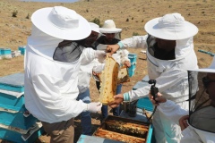 Niğde'nin bir ürünü daha coğrafi işaretle tescillendi