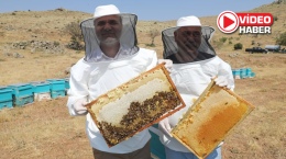 Niğde Geven Balı’na Coğrafi İşaret Tescili