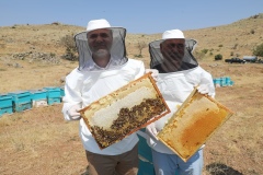 Niğde Geven Balı’na Coğrafi İşaret Tescili