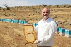 Niğde’nin Tescillenecek Geven Balı Hasadı Başladı