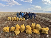 Niğde Patates Araştırma Enstitüsü’nde Yerli ve Milli Ürünlerin Hasadı Yapıldı