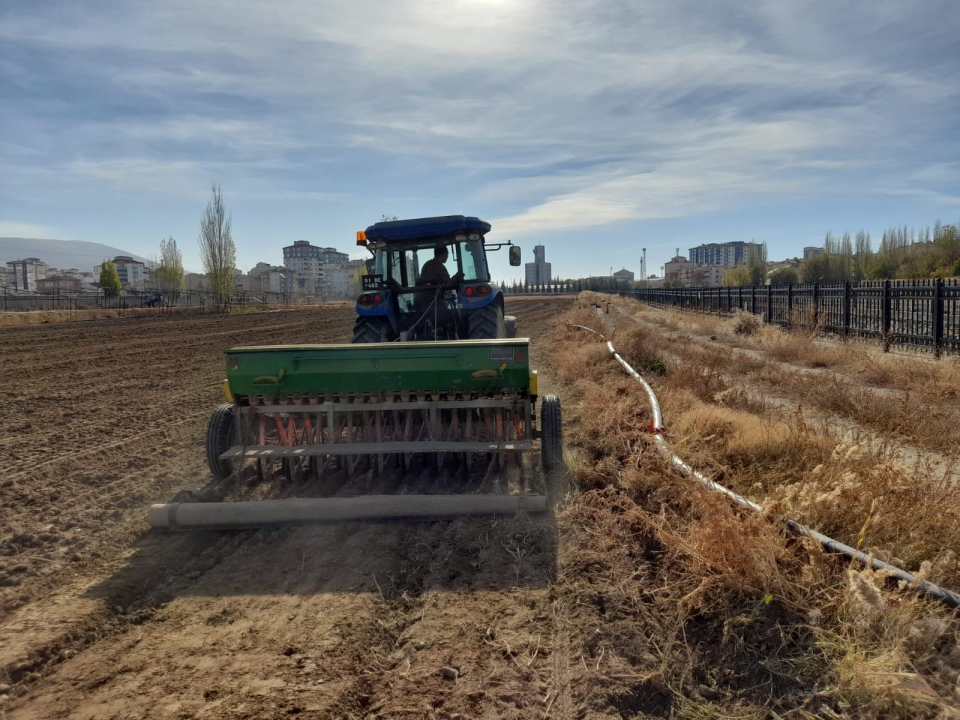Patates Araştırma Enstitüsü, Yerli Buğday Ekimini Gerçekleştirdi