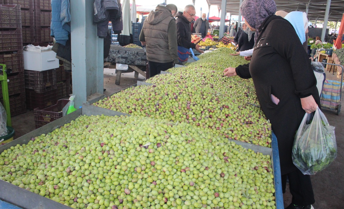 Niğde Pazarı Yeşil Zeytinle Dolup Taşıyor: Tezgahlarda Fiyatlar 70-80 TL Arasında