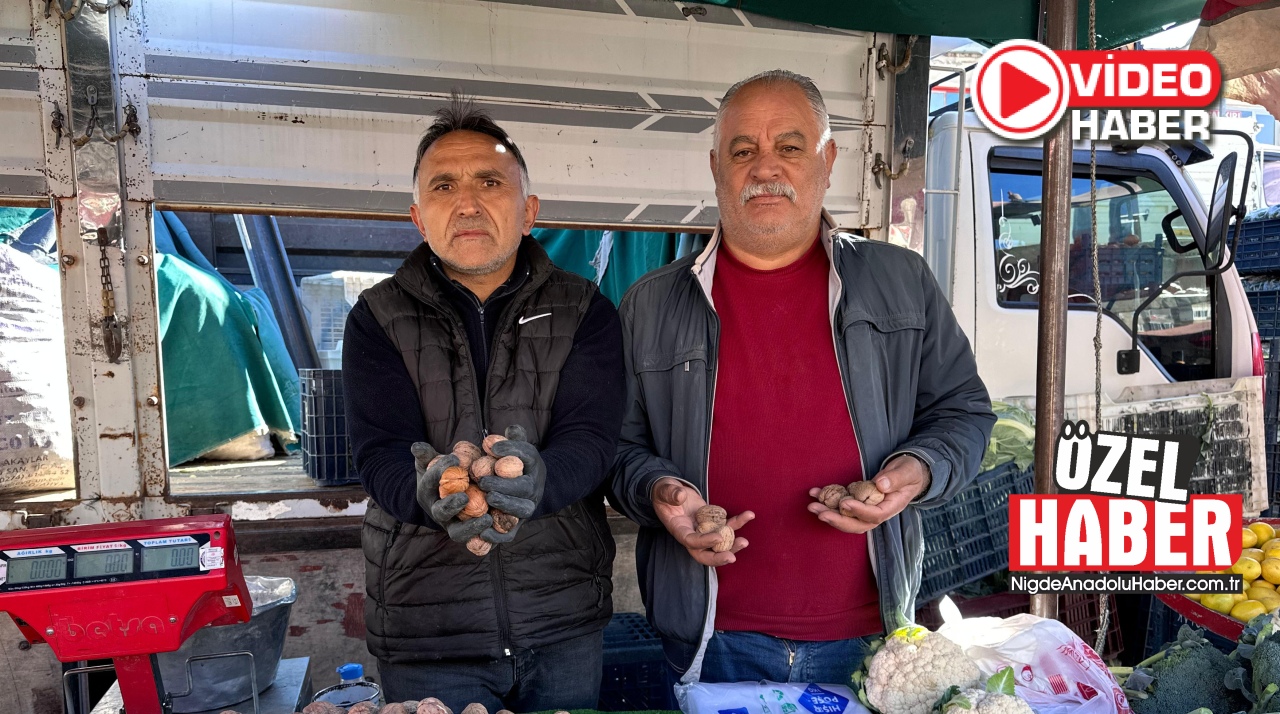 Niğde Perşembe Pazarı’nda yaş ceviz bereketi
