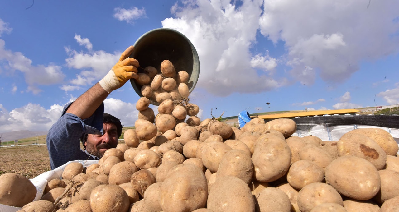 Niğde SYDV’den İhtiyaç Sahiplerine 300 Ton Patates Desteği