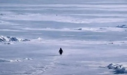 Nihilist Penguen Öldü mü? Werner Herzog Belgeselindeki O Sahnenin Hazin Sonu!