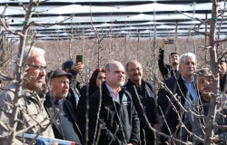 NÖHÜ’de 'Meyve Ağacı Budama Eğitimi' düzenledi