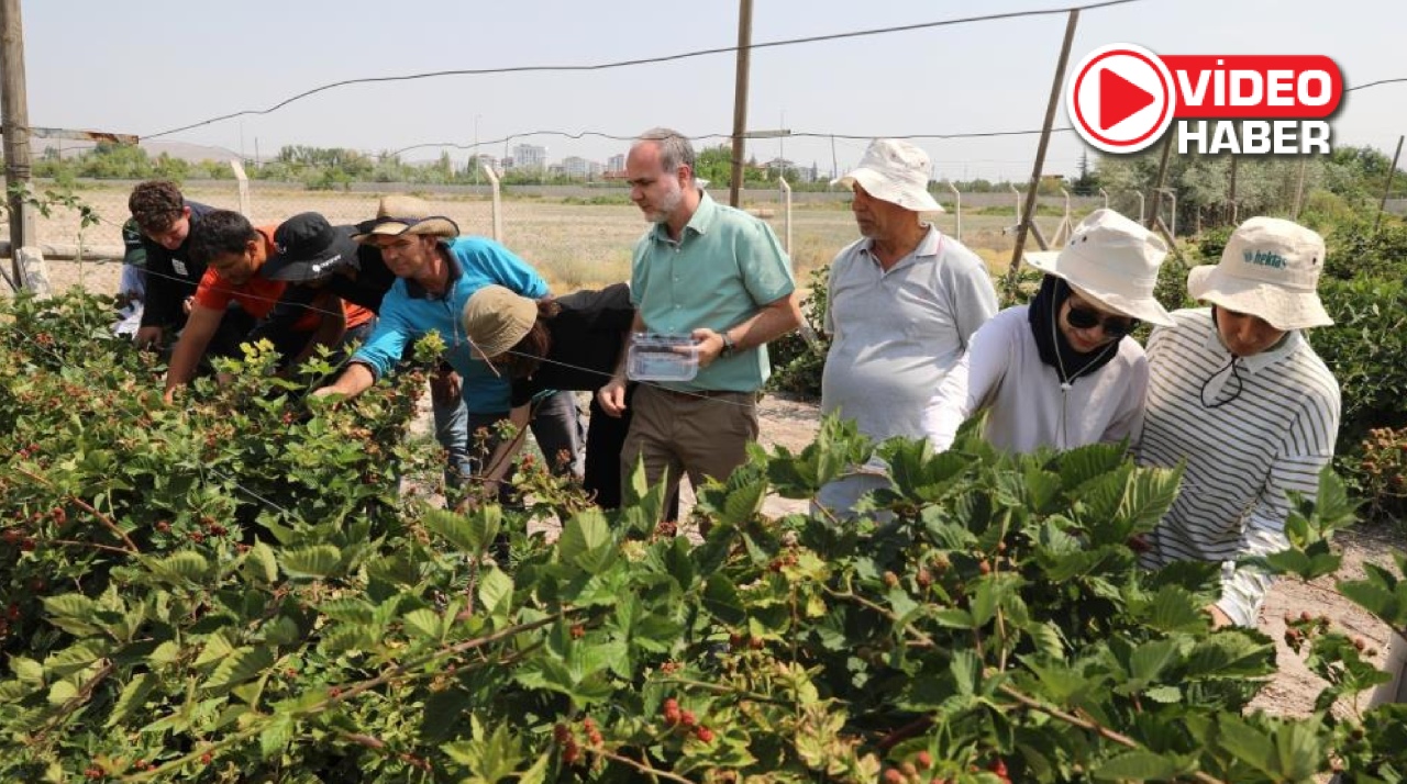 NÖHÜ tarımda adından söz ettirmeye devam ediyor