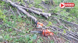 CHP’li Vekil Ömer Fethi Gürer Açıkladı: Ormanlar talana uğruyor