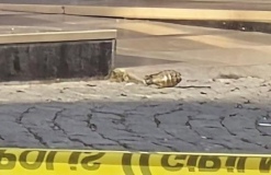 Otele el bombası attılar!