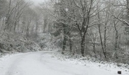 Pendik'te okullar tatil mi? Bugün okulların tatil durumu merak edildi