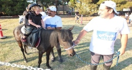 Pony Club Atları Niğde’ye geliyor