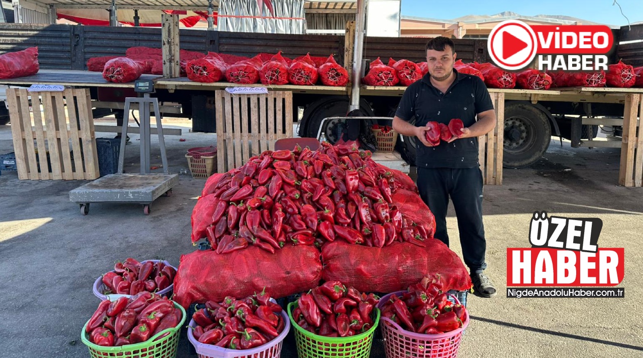 Salça sezonu başladı, kazanlar kuruldu 
