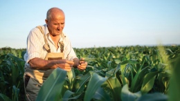 SGK’dan tarım sigortalılarına prim ödemesi hatırlatması