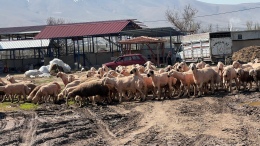 Siberay’dan vatandaşlara kurban bağışı uyarısı