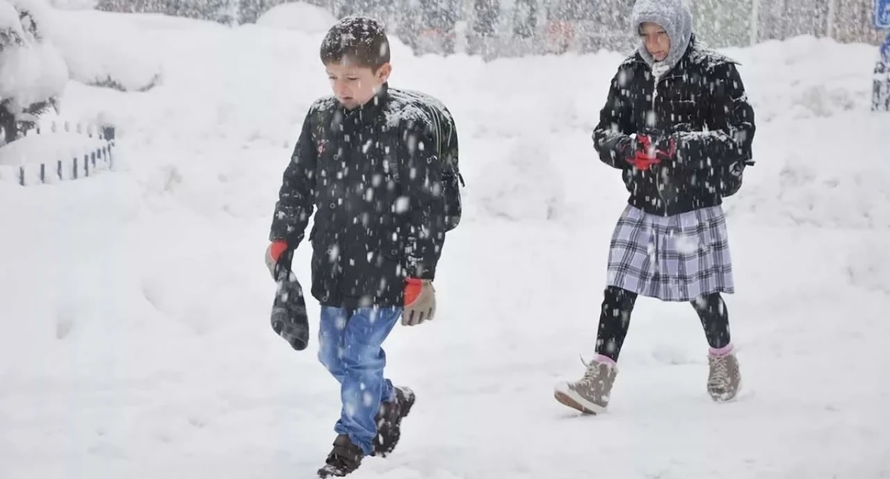 Son Dakika! Ardahan, Van ve Artvin'de Kar Tatili Var mı? Valilik Açıklaması Bekleniyor