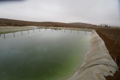 Sulama havuzunda acı ölüm