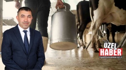 Sütteki yüksek maliyet küçük işletmeleri etkiledi