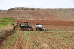 TAKE Projesi ile 3 yılda 410 bin dekar arazi tarımsal üretime kazandırıldı