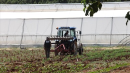 Tarım sigortalarında yeni dönem! Üreticiye %70 devlet desteği müjdesi!