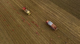 Tarım Üretici Fiyatlarında Mart ayı artışı belli oldu