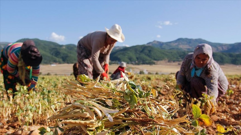 Tarımda ne kadar çiftçi kadın çalışıyor?