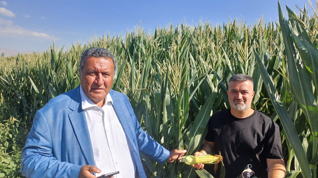 Tarımsal atıklar yakıta dönüştürülmelidir