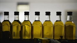 Tariş 2026 Zeytinyağı Alım Fiyatlarını Açıkladı: Kilogram Fiyatı Kaç TL Oldu?