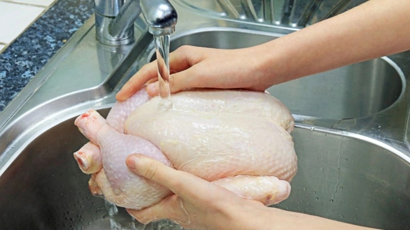 Tavuk ve Hindide Salmonella Riski
