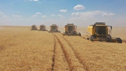 TİGEM’den 2025 hasat sezonunda 303 bin ton hububat üretimi