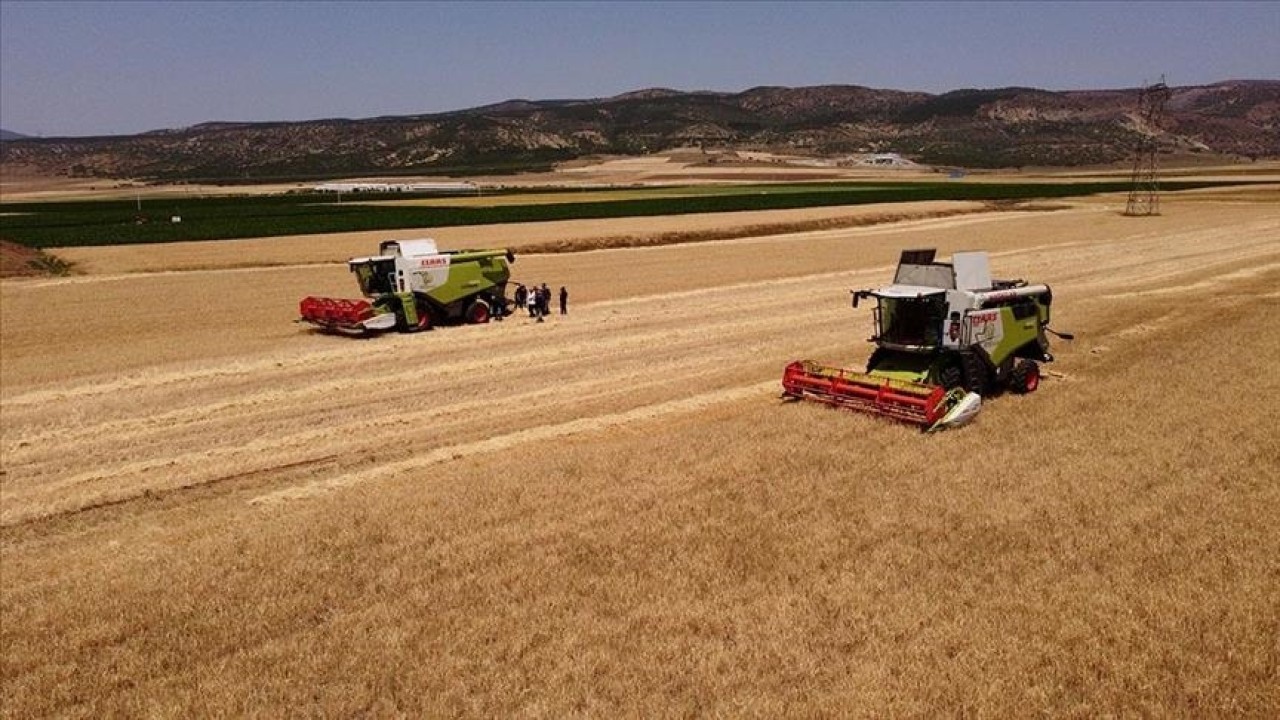 TMO çiftçiden 2 milyon ton buğday ve arpa aldı