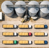 Toprak Mahsulleri Ofisi stoklarını serbest satışa açtı