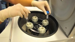 Tüp Bebek Başarı Oranı Nasıl Artar? Uzmanlardan Altın Değerinde Tavsiyeler