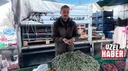 Turfanda çağla Niğde’de satışa sunuldu! İşte fiyatı