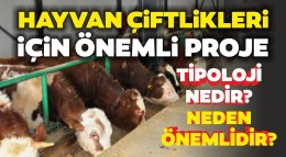 Türkiye'deki hayvan çiftliklerinin üretim kapasitesi yeni tipolojiyle artırılacak