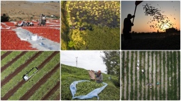 Türkiye’nin bereketi kayıt altına alınıyor