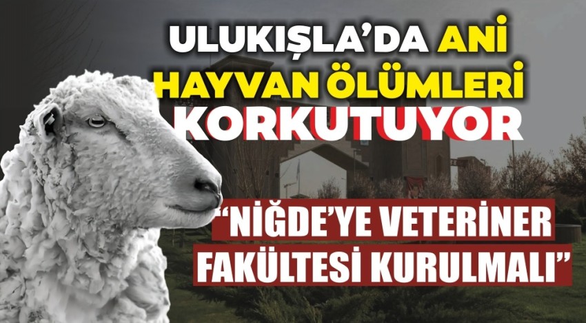 Ulukışla'da ani hayvan ölümleri korkutuyor