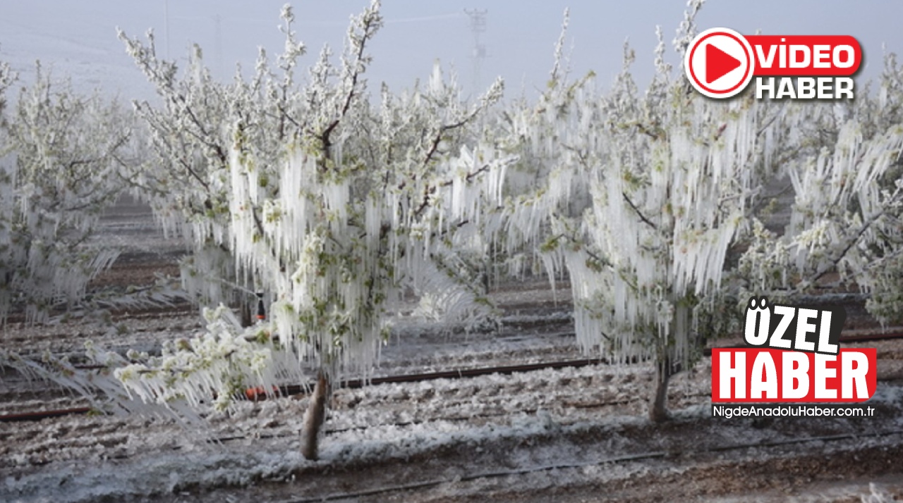 Üretici TARSİM’den gerçek anlamda faydalanamıyor 