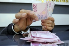 Üreticilere 374,7 Milyon TL hibe desteği