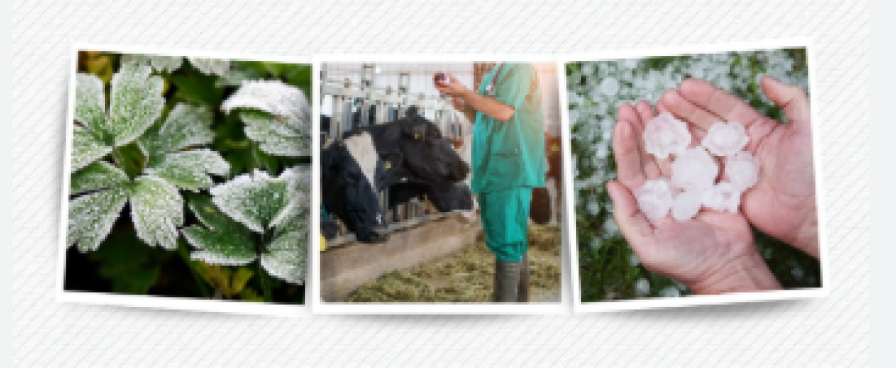 Üreticiye milyarlarca lira destek 