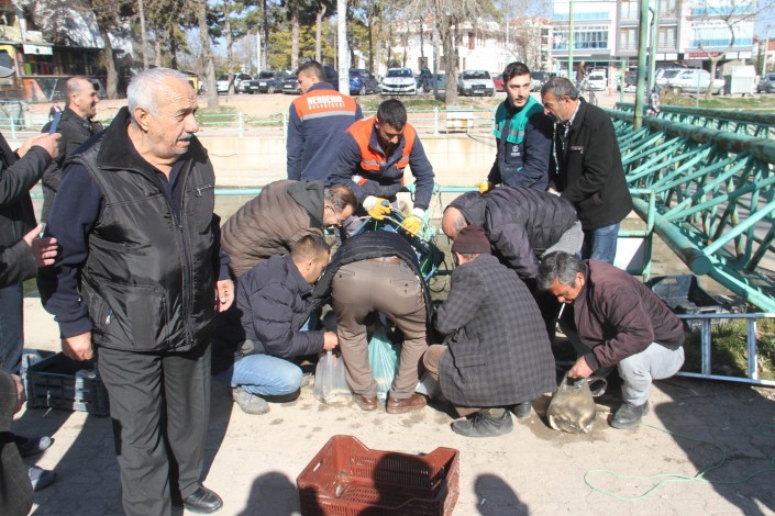 UYARILARA RAĞMEN ELLERİYLE DOLDURUP EVE GÖTÜRDÜLER