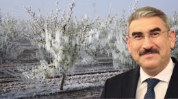 Uzkurt’tan zirai dondan etkilenen çiftçilere müjde! 