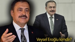 Veysel Eroğlu kimdir ve aslen nereli? Irak özel temsilcisi oldu