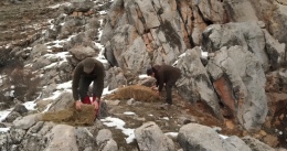 Yaban hayatını desteklemek için sahada çalışmalar sürüyor